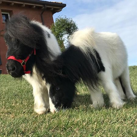 B&B Ca Bianca Dell'Abbadessa San Lazzaro di Savena Exterior foto