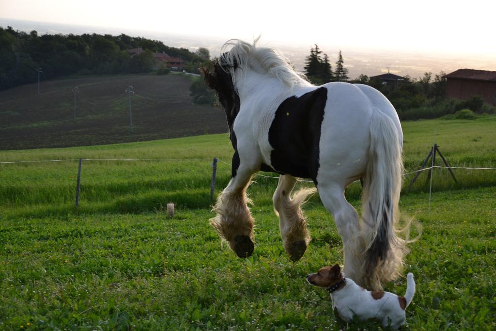 B&B Ca Bianca Dell'Abbadessa San Lazzaro di Savena Exterior foto