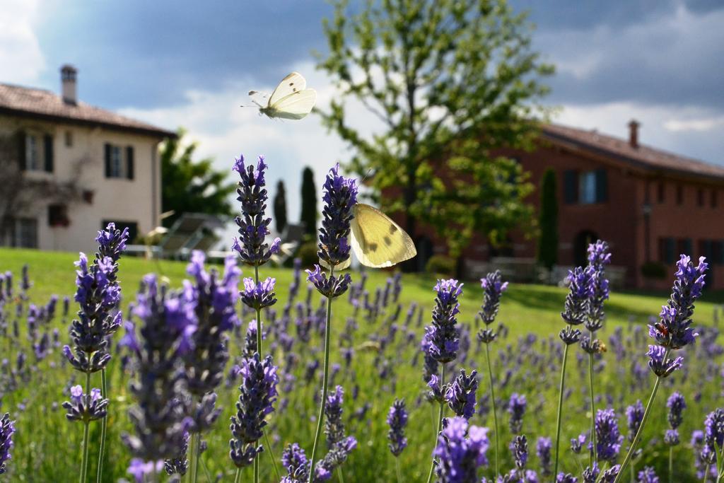 B&B Ca Bianca Dell'Abbadessa San Lazzaro di Savena Exterior foto