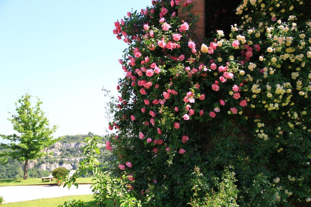 B&B Ca Bianca Dell'Abbadessa San Lazzaro di Savena Exterior foto