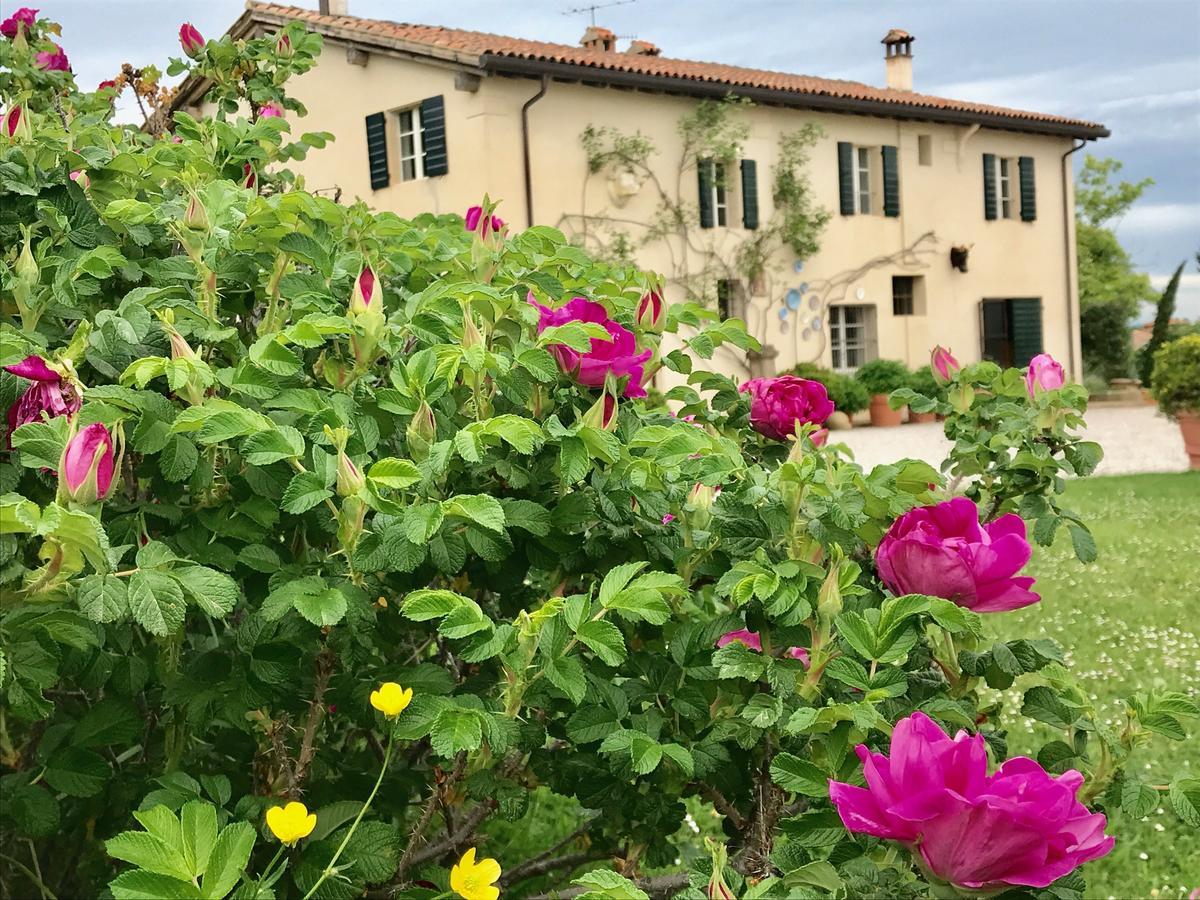 B&B Ca Bianca Dell'Abbadessa San Lazzaro di Savena Exterior foto